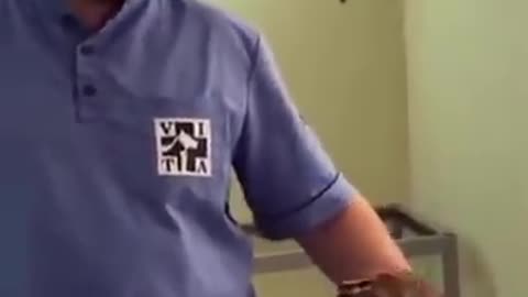 With the cat at the vet