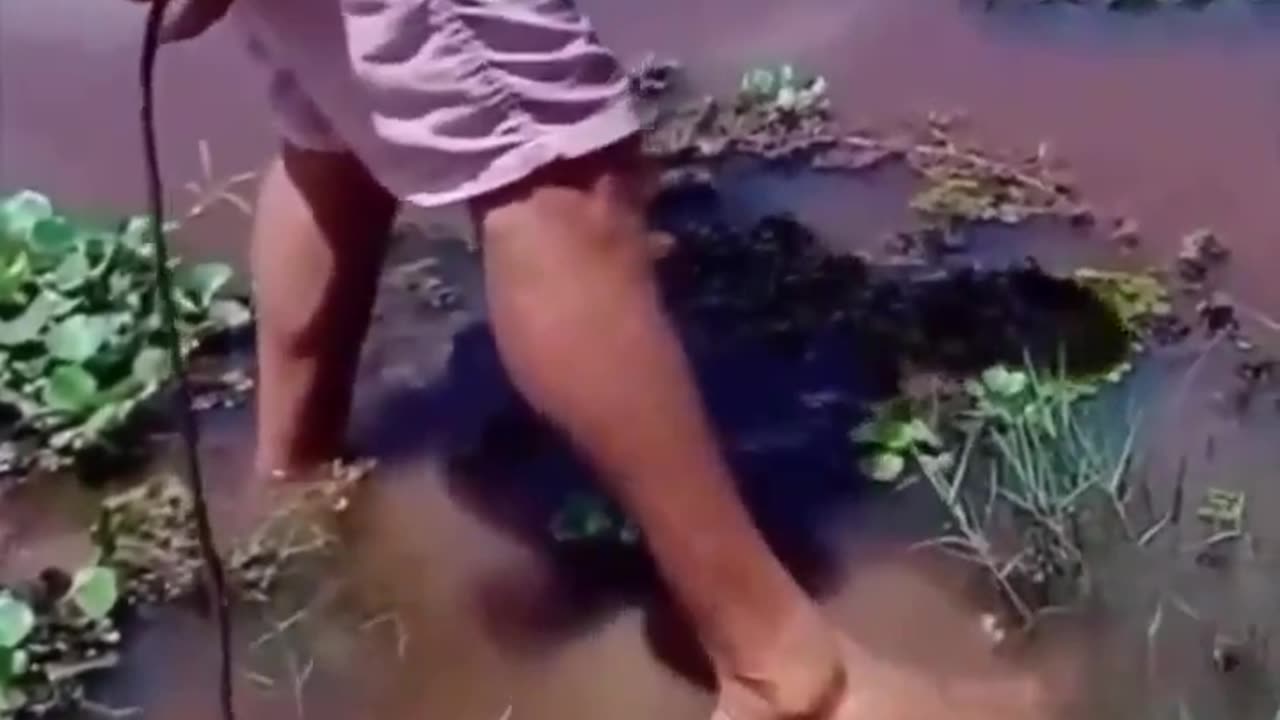 How not to handle wild animals