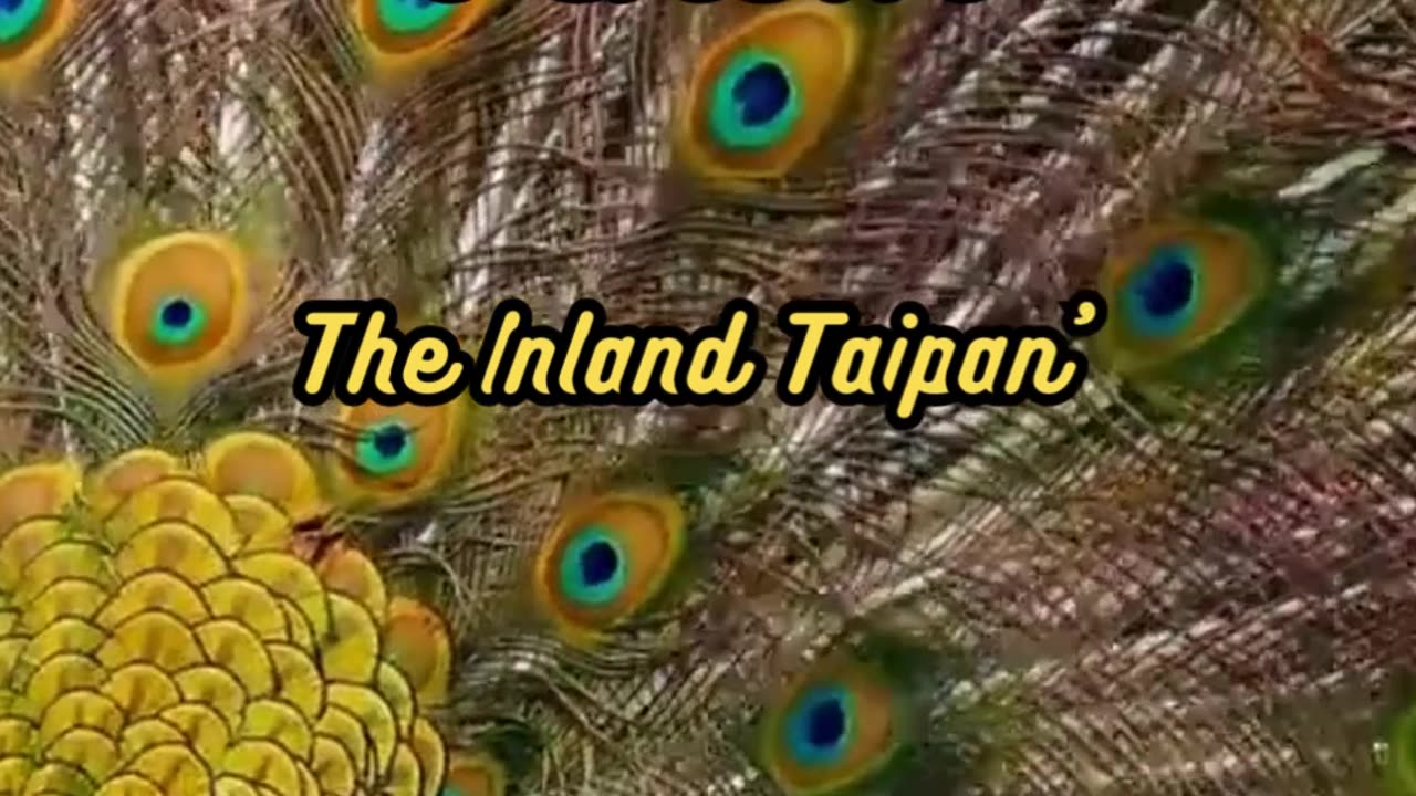 Animal Facts Inland Taipan Venom #shorts