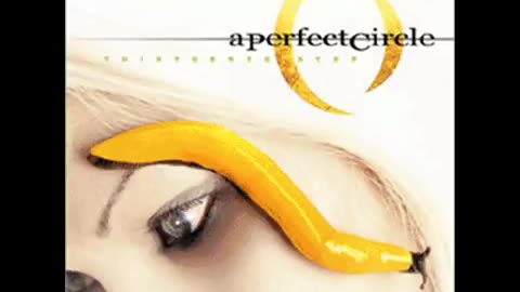 The Outsider by A Perfect Circle