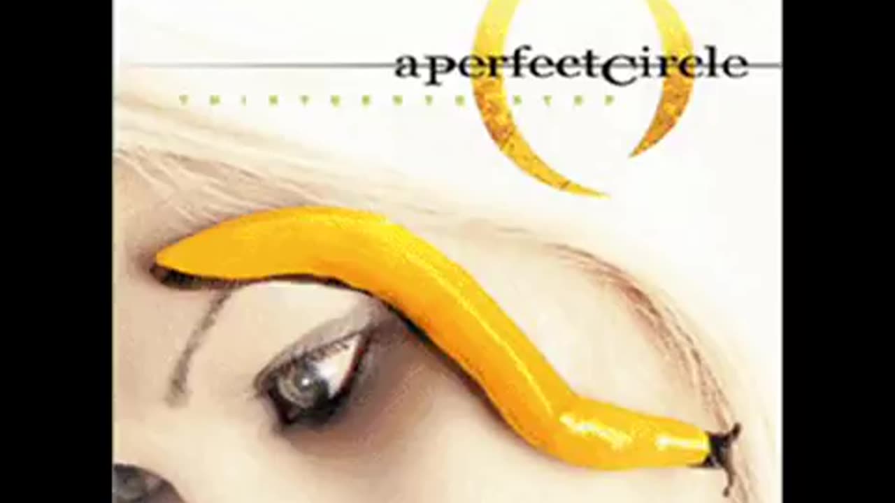The Outsider by A Perfect Circle
