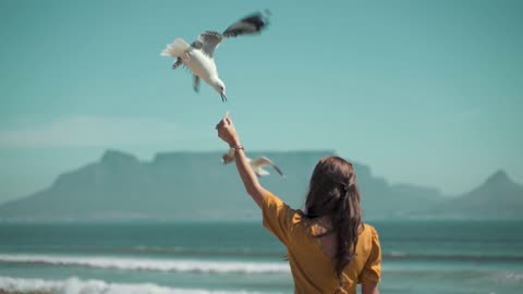 Dance of Trust in the Coastal Breeze