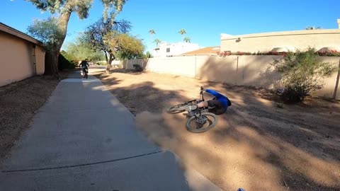 bushwhacked