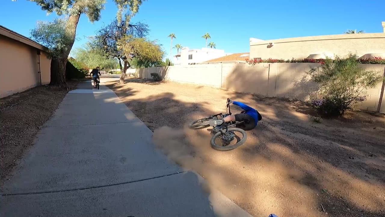 bushwhacked