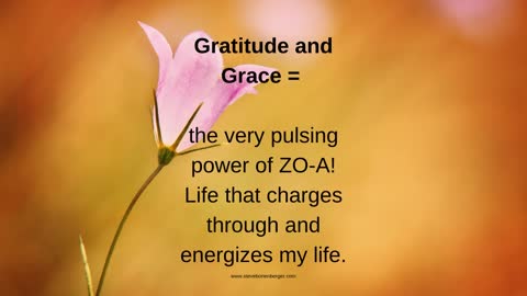 Gratitude and Grace