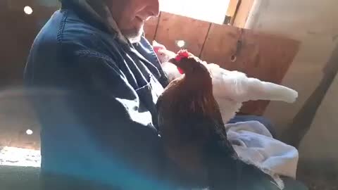 Chicken whisperer