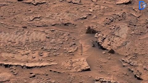 NASA'S Mars Rover capture latest shocking scene of Mars life