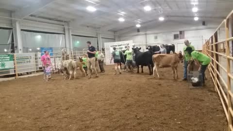 Harrison County 4h Fair 2018 On The News! another version