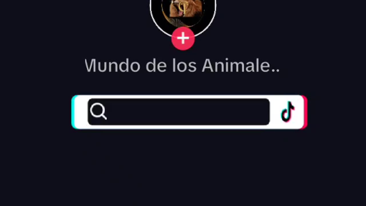 Sumérgete en la maravilla oculta del manglar, donde la vida florece de manera asombrosa.