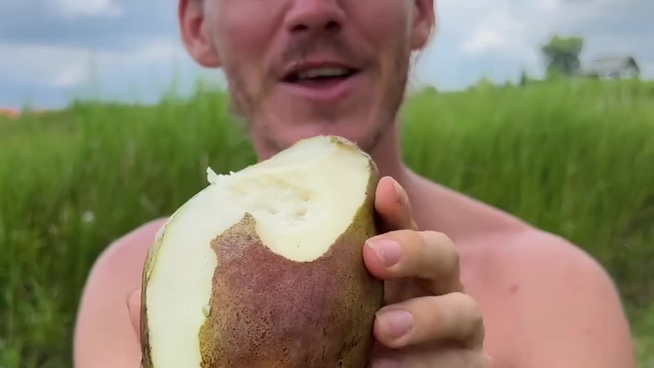 A Rare Toothpaste Mango