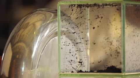 Nanotubes assemble! Rice University introduces Teslaphoresis 2016