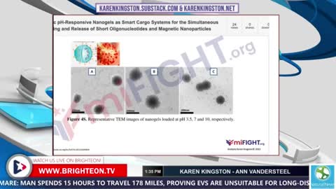 Interview with Karen Kingston - Quantum Dots in COVID-19 Injections - October 20 2022