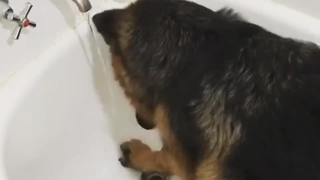 I left the water running and someone got in the bath