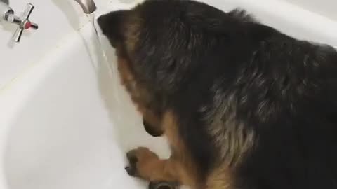 I left the water running and someone got in the bath