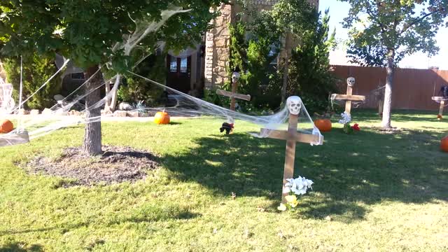 ~ Halloween Best Decoration Winner ~