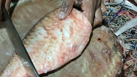 Amazing Chaina puti Fish Cutting In Fish Market #fish #fishcutting