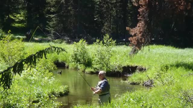 Bigfoot Get's Playful With Local Fly Fisherman In Idaho