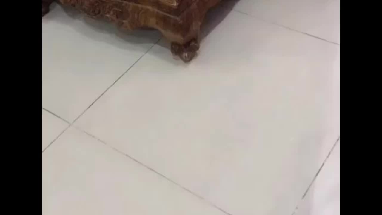 Listen to this sound, the lovely flu will come to you