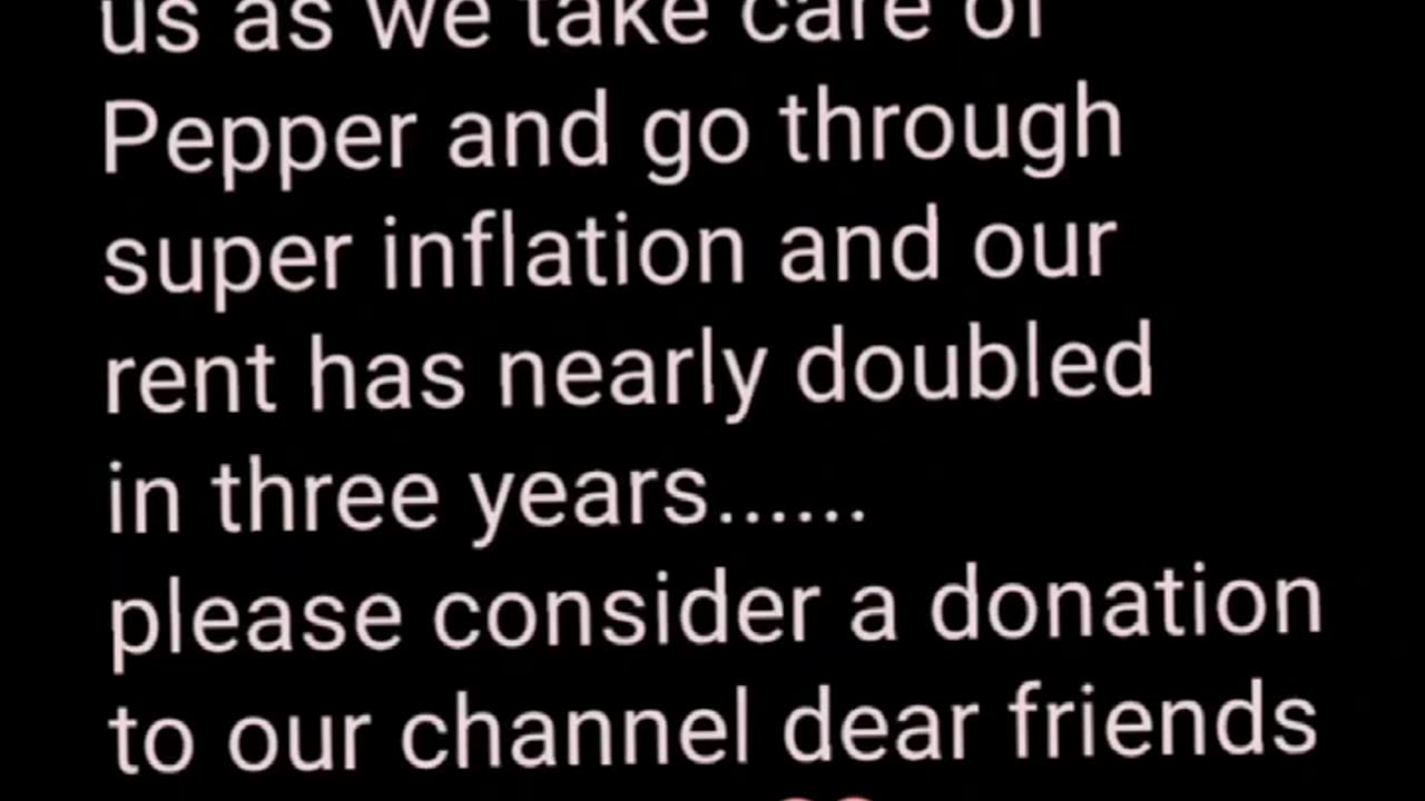 How are you doing lal💜🙏💜🧙‍♂️