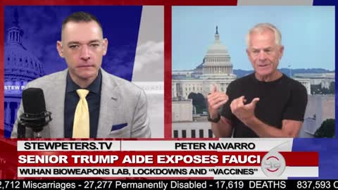 Peter Navarro: "Strap Fauci in a Chair, Make Him Confess His Crimes".