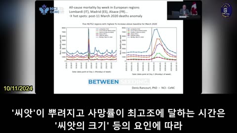【KR】코로나19 연구, 대유행 기간 동안의 사망률 피크가 바이러스로 인한 것이 아님을 발견