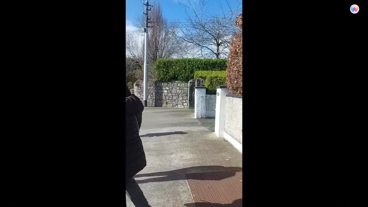 Sinn Fein traitor canvassers are confronted!! 25-03-24