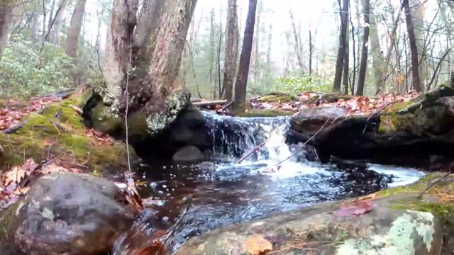 [Just Nature] Stream- UpNorth