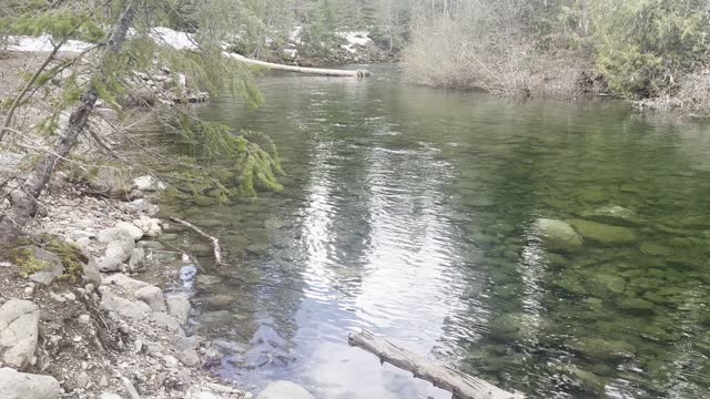 Box Canyon Section of Kachess Lake Campground – Okanogan-Wenatchee – Washington – 4K