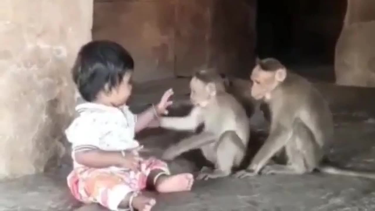 Monkeys Came To Visit His Little Friend #shorts #shortvideo #video #virals #videoviral