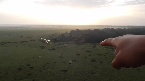 The Great Migration .African wildlife