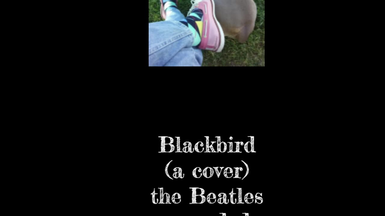 Blackbird (a cover) ~ the Beatles ~ alsetian.