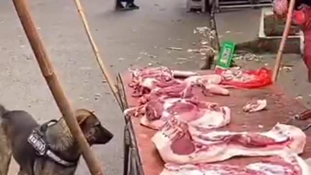 Dog meat buyer