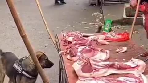 Dog meat buyer