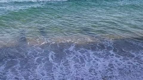 The East Sea waves