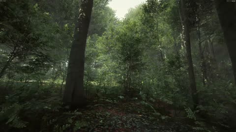 Kingdom Come Deliverance BETA with RTX 3090 RAYTRACING in 2021 - still most realistic graphic today?