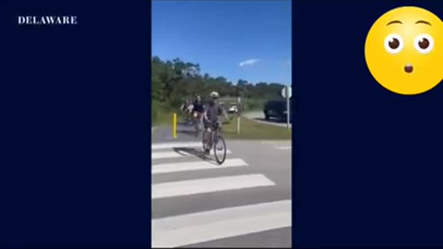 Biden Falling Off Bicycle