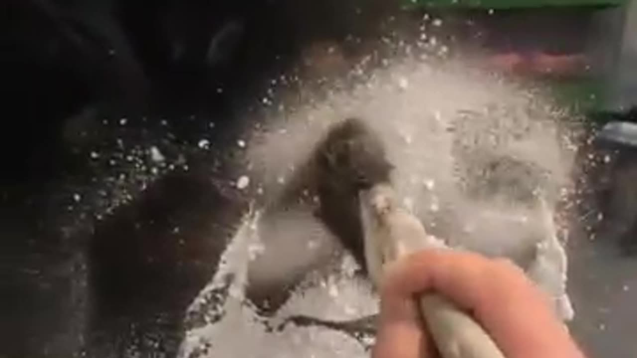 creat painting with snow spray graffiti dwarf