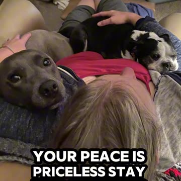 Peace is priceless