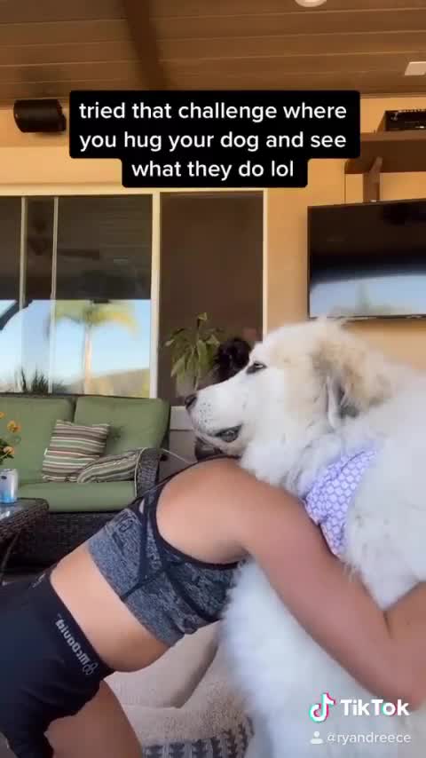 tried that challenge when you hug your dog and see what they do