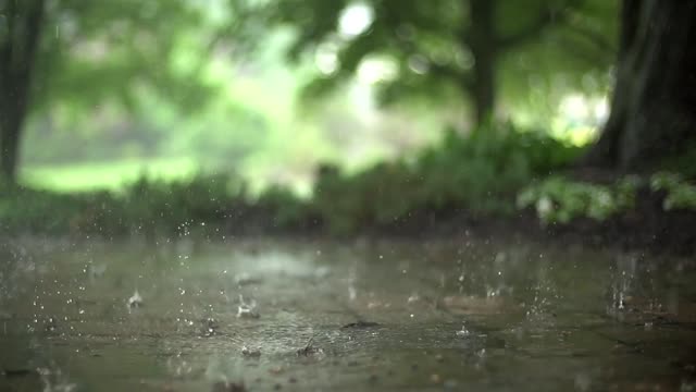 [Slow Motion] Rain Stock Footage [10 mins version]