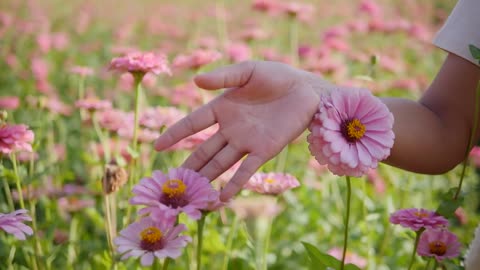 Woman Flowers Plants ## Field Garden Nature@222