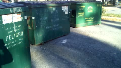 Dumpster Horror at Dawn