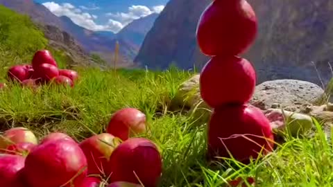 The most Biggest red apples - SKARDU Red Delicious