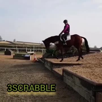 A funny clip of a horse throwing its owner at😉👍 ... 😂😂...... 😉😉