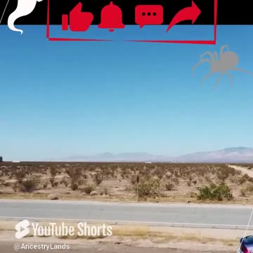 🍬 This treat won't last forever! 0.22 acre vacant land sale near Los Angeles county - Ancestry Lands