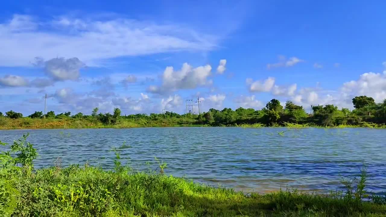 Amazing beautiful nature || Beautiful cloudy blue sky || Wonderful nature || Nature scenery