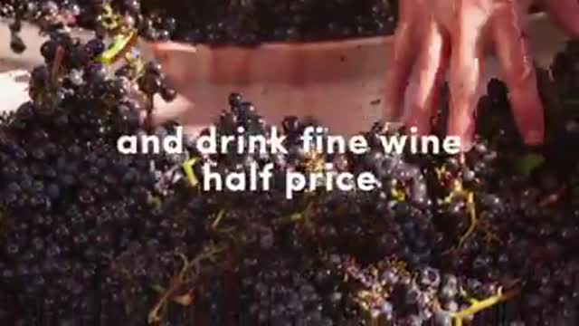 Indiegogo Campaign - Pinot Noir in Willamette Valley