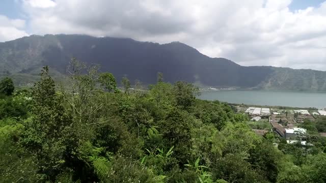 Mountain forest lake