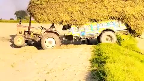 Pakistani Tractor Driver