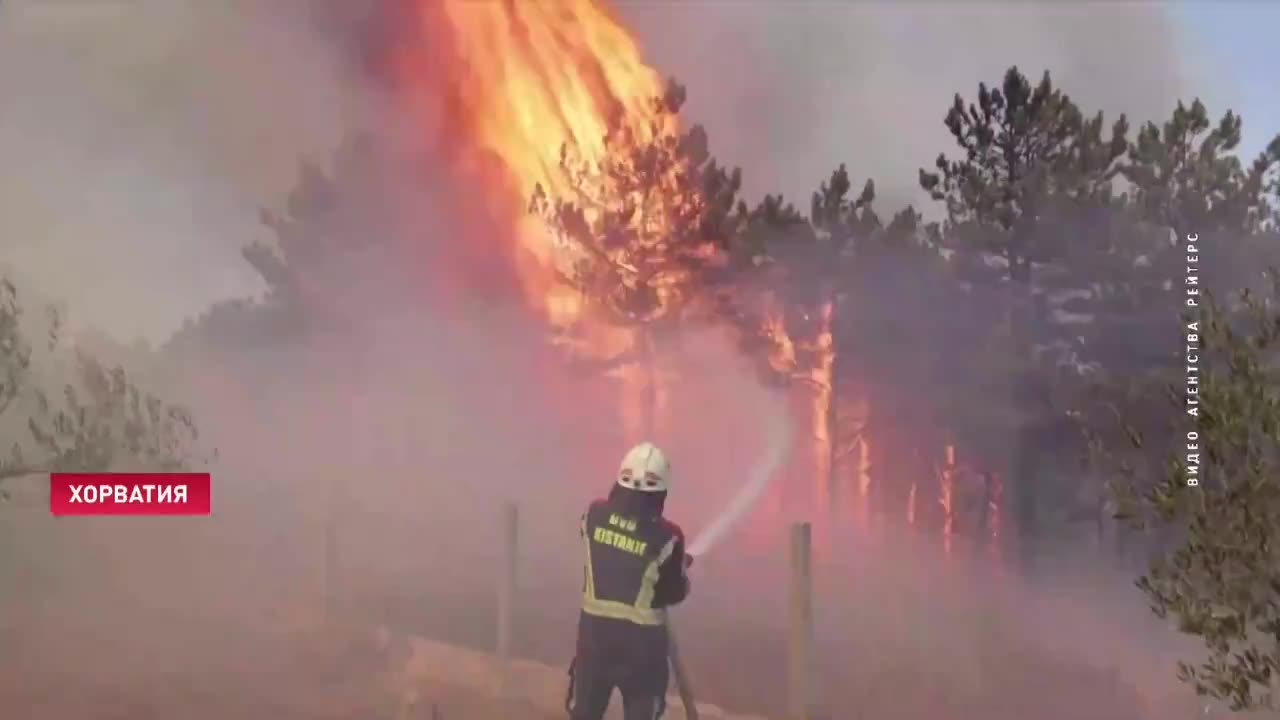 Much of the Croatian coastline has been engulfed by severe fires